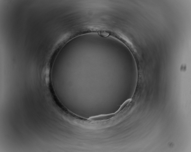 X0000103320019200809051157