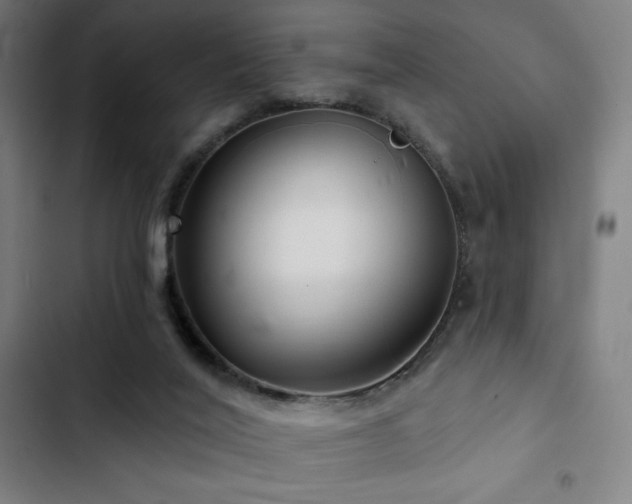 X0000103320020200809051157