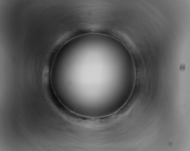 X0000103320024200809051157