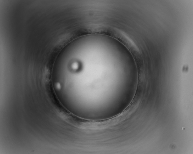 X0000103320025200809051157