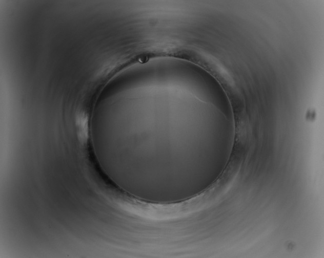 X0000103320027200809051157