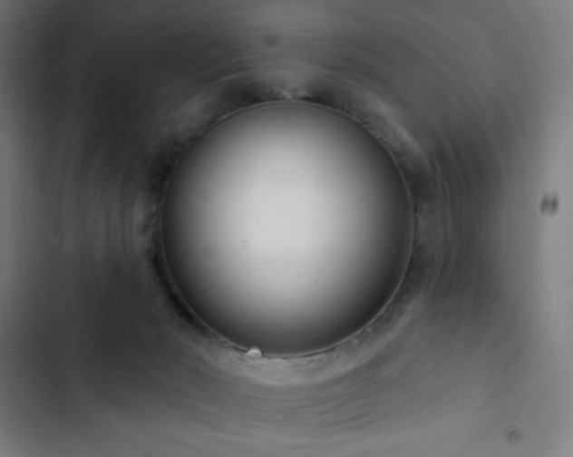 X0000103320030200809051157