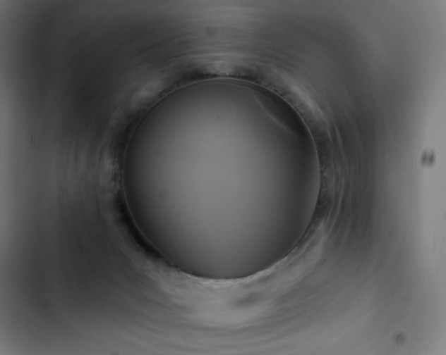 X0000103320031200809051157