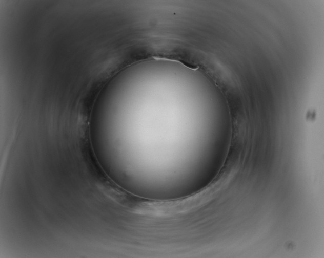 X0000103320033200809051157