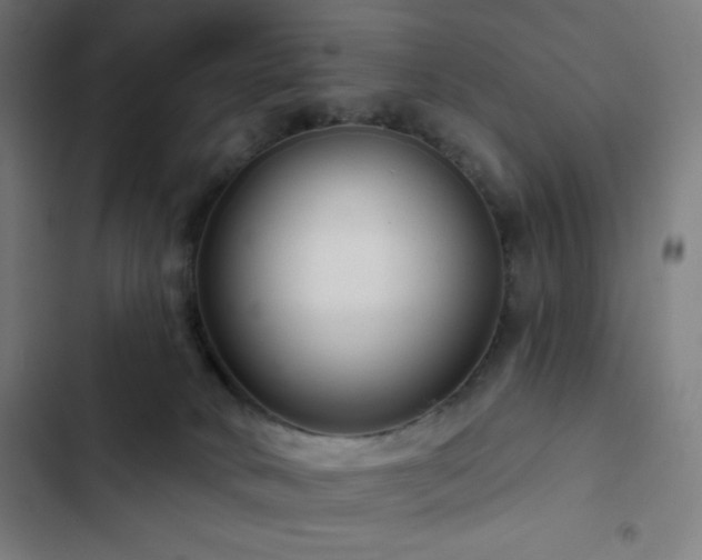 X0000103320034200809051157