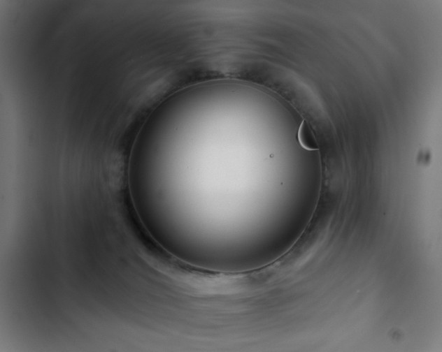 X0000103320036200809051157