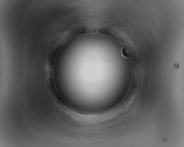 X0000103320038200809051157