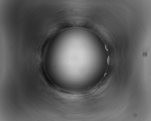 X0000103320040200809051157