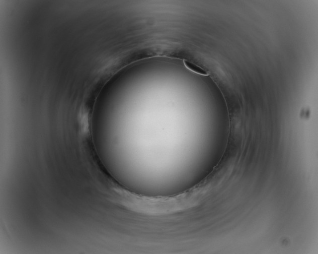 X0000103320042200809051157