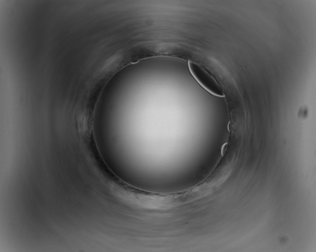 X0000103320044200809051157