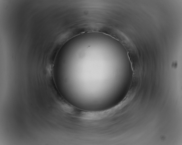 X0000103320045200809051157