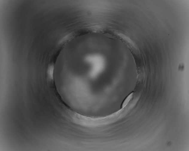 X0000103320047200809051157