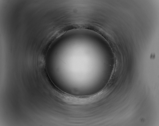 X0000103320048200809051156