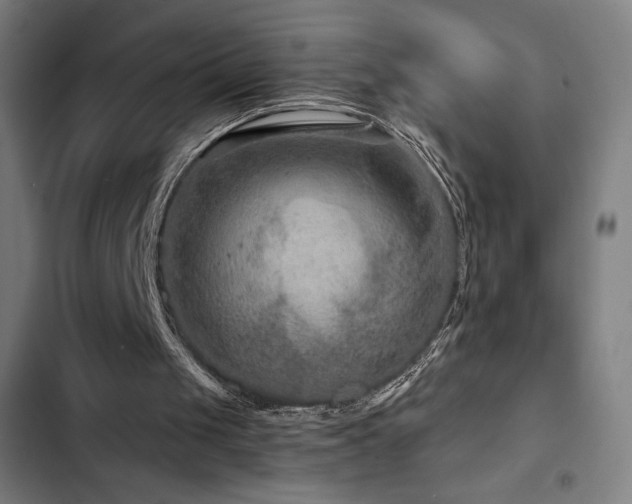 X0000103320049200809051156