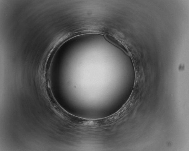 X0000103320050200809051156