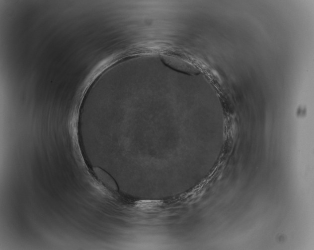 X0000103320051200809051156