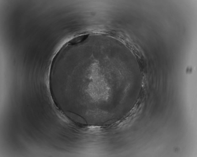 X0000103320052200809051156