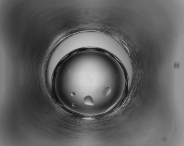 X0000103320053200809051156