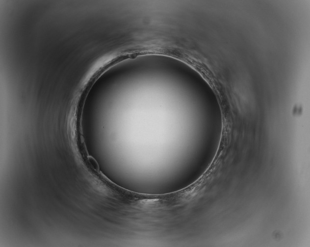 X0000103320054200809051156