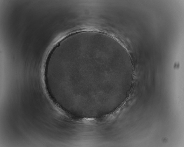 X0000103320055200809051156