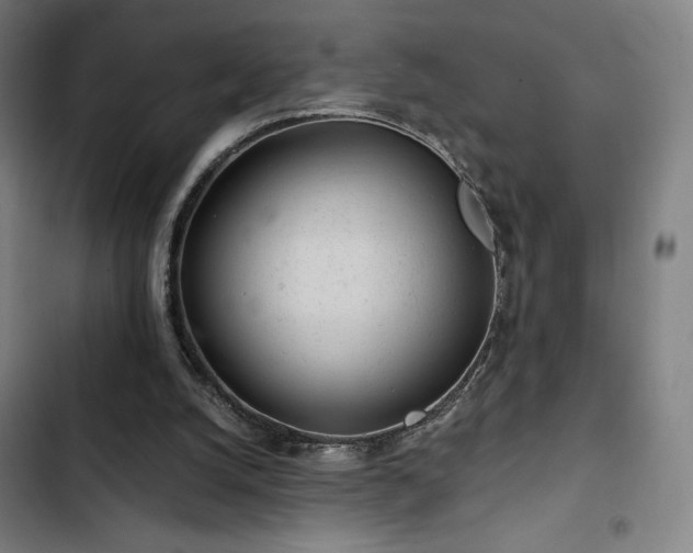 X0000103320056200809051156