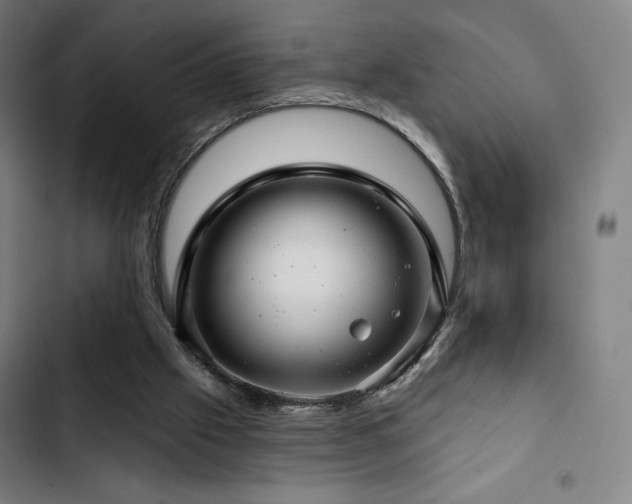 X0000103320057200809051156