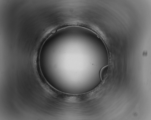 X0000103320058200809051156