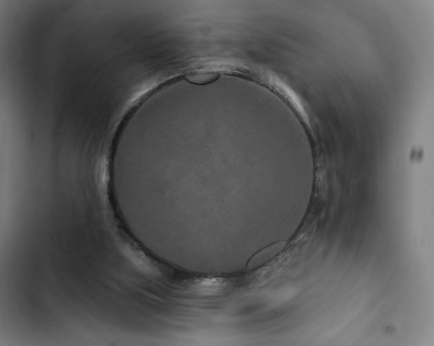 X0000103320059200809051156