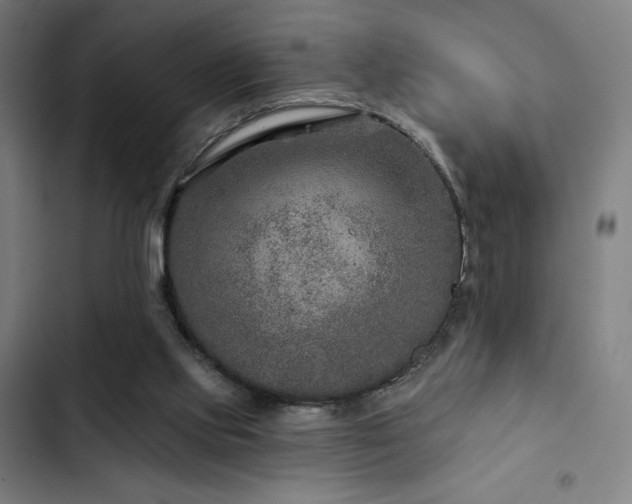 X0000103320061200809051156