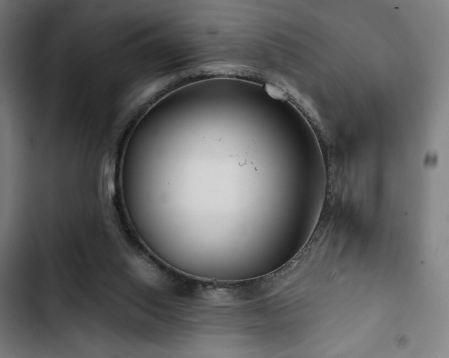 X0000103320062200809051156