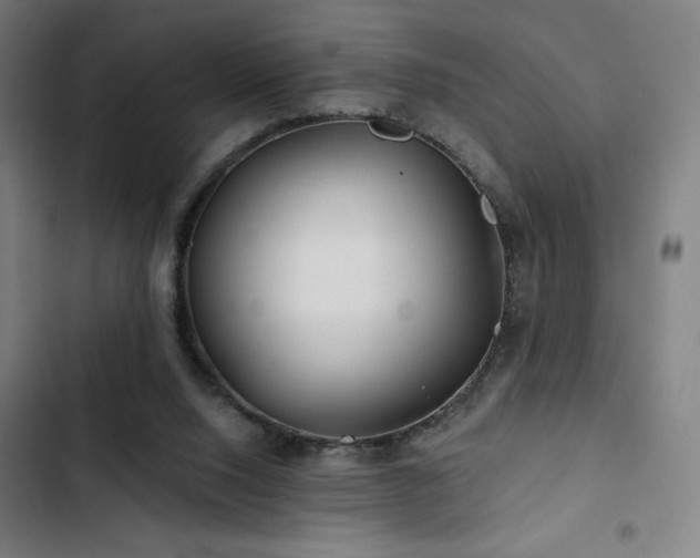 X0000103320064200809051156