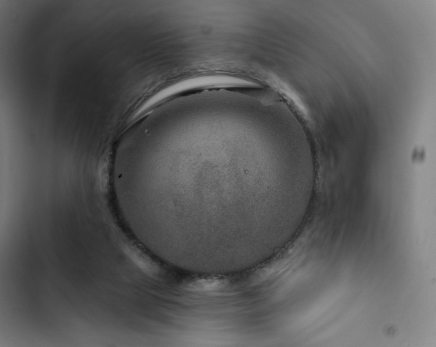 X0000103320065200809051156