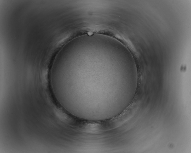 X0000103320066200809051156