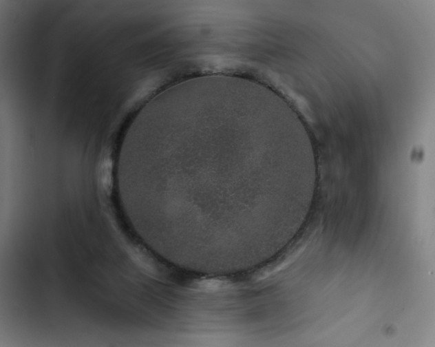 X0000103320067200809051156