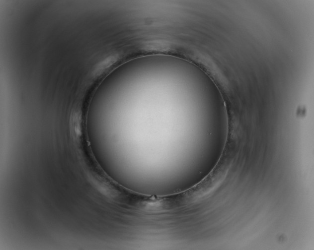 X0000103320068200809051156