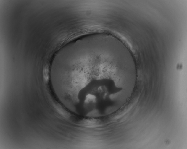 X0000103320069200809051156