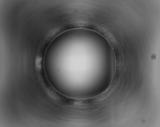 X0000103320070200809051156