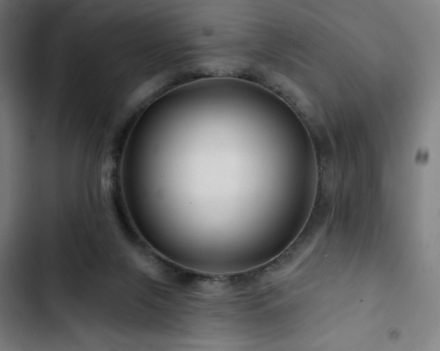 X0000103320071200809051156