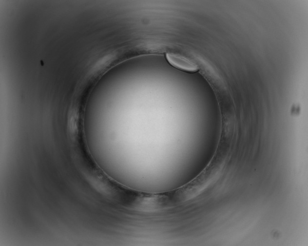 X0000103320072200809051156