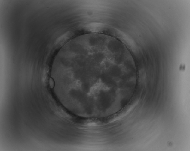 X0000103320073200809051156