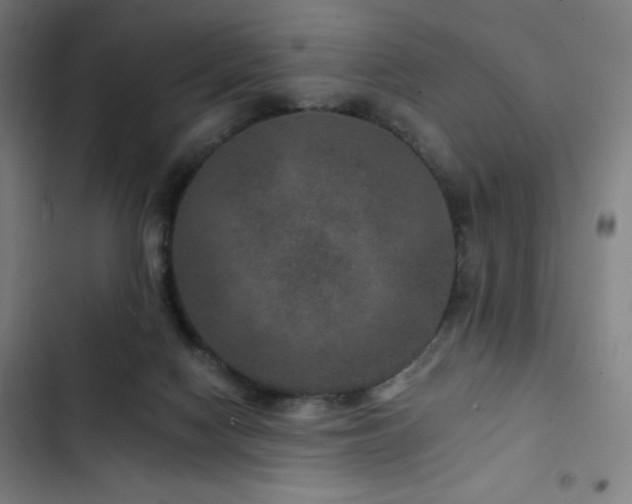 X0000103320074200809051156