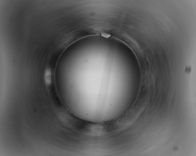 X0000103320075200809051156