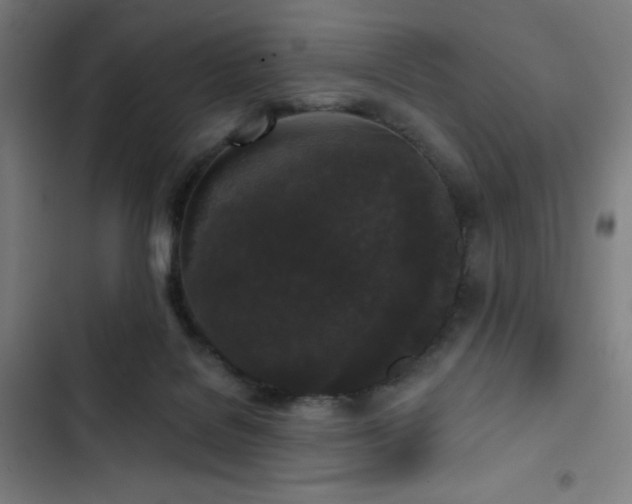 X0000103320076200809051156