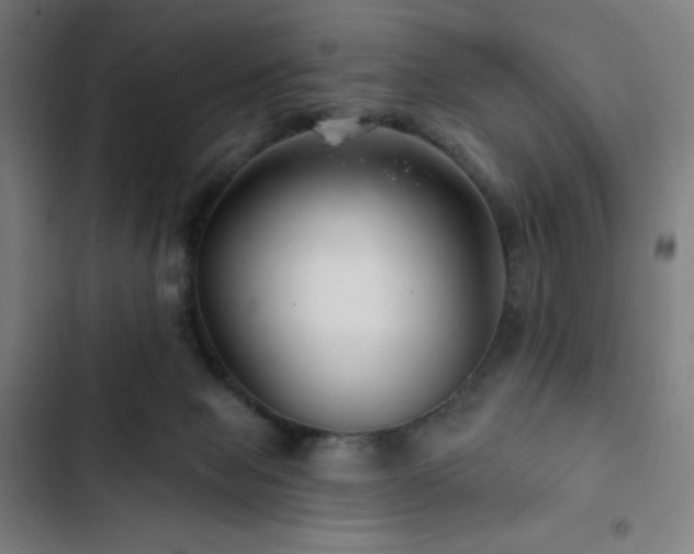 X0000103320077200809051156