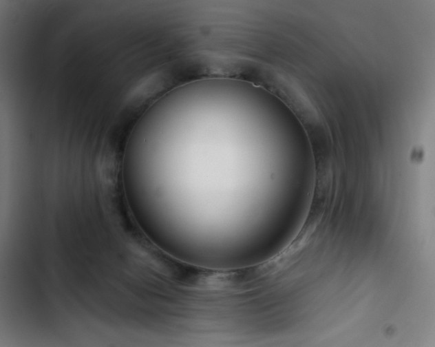 X0000103320078200809051156