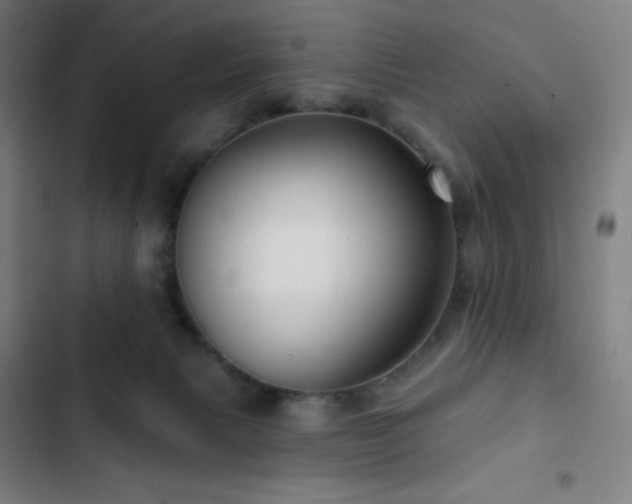 X0000103320079200809051156