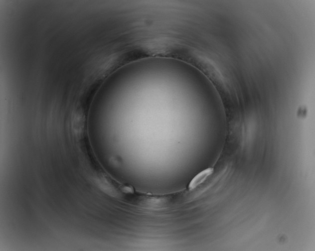 X0000103320081200809051156