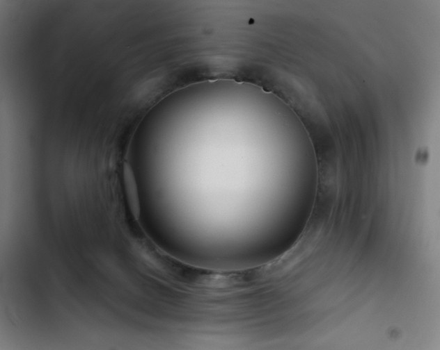 X0000103320082200809051156