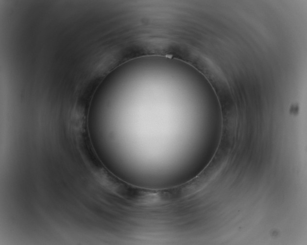 X0000103320083200809051156