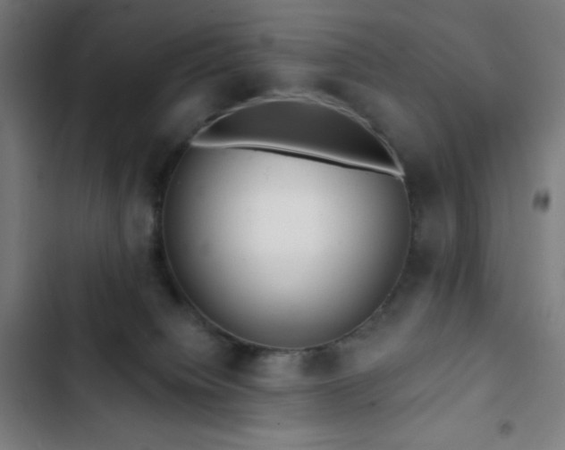 X0000103320084200809051156